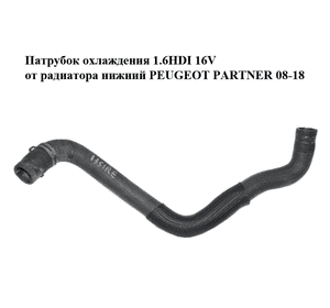 Патрубок охлаждения 1.6HDI 16V от радиатора нижний PEUGEOT PARTNER 08-18 (ПЕЖО ПАРТНЕР) (1351RE) Патрубок охлаждения 1.6HDI 16V от радиатора нижний PEUGEOT PARTNER 08-18 (ПЕЖО ПАРТНЕР) (1351RE)