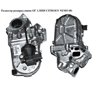 Радиатор рециркуляции ОГ 1.3HDI  CITROEN NEMO 08- (СИТРОЕН НЕМО) (55230929, 7.03622.03) Радиатор рециркуляции ОГ 1.3HDI  CITROEN NEMO 08- (СИТРОЕН НЕМО) (55230929, 7.03622.03)