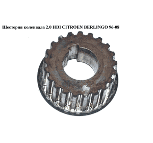 Шестерня коленвала 1.9D (DW8) 2.0HDI CITROEN BERLINGO 96-08 (СИТРОЕН БЕРЛИНГО) (0513A2, 9638574180) Шестерня коленвала 1.9D (DW8) 2.0HDI CITROEN BERLINGO 96-08 (СИТРОЕН БЕРЛИНГО) (0513A2, 9638574180)