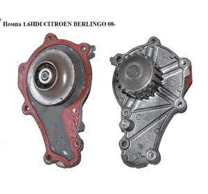 Помпа 1.6HDI  CITROEN BERLINGO 08- (СИТРОЕН БЕРЛИНГО) (1201G9, Y60115010A, 11517805992, 1201.G9, 1364681, Помпа 1.6HDI  CITROEN BERLINGO 08- (СИТРОЕН БЕРЛИНГО) (1201G9, Y60115010A, 11517805992, 1201.G9, 1364681,