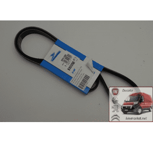 Ремень ручейковый Ситроен Джампи / Citroen Jumpy  CONTITECH 6 PK 1388 Ремень ручейковый Ситроен Джампи / Citroen Jumpy  CONTITECH 6 PK 1388