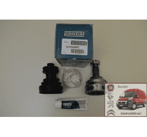 Шрус внешний Ситроен Джампи / Citroen Jumpy II PASCAL G1F020PC,1481452080 Шрус внешний Ситроен Джампи / Citroen Jumpy II PASCAL G1F020PC,1481452080