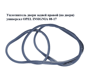 Уплотнитель двери задней правой  (на двери) универсал OPEL INSIGNIA 08-17 (ОПЕЛЬ ИНСИГНИЯ) (13243032) Уплотнитель двери задней правой  (на двери) универсал OPEL INSIGNIA 08-17 (ОПЕЛЬ ИНСИГНИЯ) (13243032)