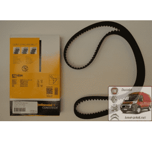 Ремень ГРМ Фиат Дукато / Fiat Ducato 230 (1994-2002) 2.8dti, 4500879, 9161179, CT1034,8671018478, 7701044188, 99456477 Ремень ГРМ Фиат Дукато / Fiat Ducato 230 (1994-2002) 2.8dti, 4500879, 9161179, CT1034,8671018478, 7701044188, 99456477