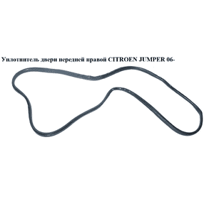 Уплотнитель двери передней правой   CITROEN JUMPER 06- (СИТРОЕН ДЖАМПЕР) (1372884080) Уплотнитель двери передней правой   CITROEN JUMPER 06- (СИТРОЕН ДЖАМПЕР) (1372884080)