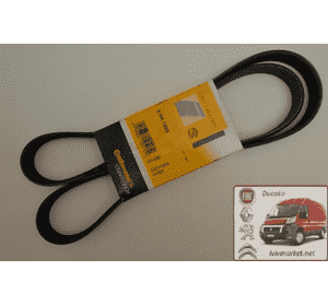 Ремень ручейковый 6 PK 1468 Citroen — Berlingo M49 (1996-2003)  CONTITECH 6 PK 1468,9633478180,9647463180,1987946097,5750 T5,0500061468,DAY6PK1468,5750XT, 5750WH Ремень ручейковый 6 PK 1468 Citroen — Berlingo M49 (1996-2003)  CONTITECH 6 PK 1468,9633478180,9647463180,1987946097,5750 T5,0500061468,DAY6PK1468,5750XT, 5750WH
