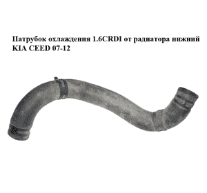Патрубок охлаждения 1.6CRDI от радиатора нижний KIA CEED 07-12 (КИА СИД) (254122R600) Патрубок охлаждения 1.6CRDI от радиатора нижний KIA CEED 07-12 (КИА СИД) (254122R600)