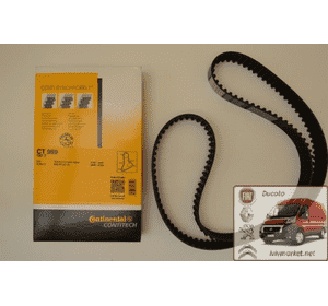 Ремень ГРМ Fiat Ducato 280 (1982-1990) 2.5TD 500323627,98415921,CT989,5001847819,GAT 5335XS,0816A3,5000293612 Ремень ГРМ Fiat Ducato 280 (1982-1990) 2.5TD 500323627,98415921,CT989,5001847819,GAT 5335XS,0816A3,5000293612