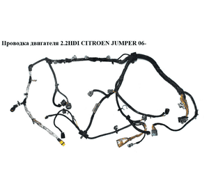 Проводка двигателя 2.2HDI  CITROEN JUMPER 06- (СИТРОЕН ДЖАМПЕР) (6585E4) Проводка двигателя 2.2HDI  CITROEN JUMPER 06- (СИТРОЕН ДЖАМПЕР) (6585E4)