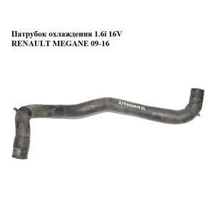 Патрубок охлаждения 1.6i 16V  RENAULT MEGANE 09-16 (РЕНО МЕГАН) (215010014R) Патрубок охлаждения 1.6i 16V  RENAULT MEGANE 09-16 (РЕНО МЕГАН) (215010014R)