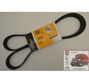 Ремень ручейковый 6 PK 1680 Fiat Scudo CONTITECH 6 PK 1680 Ремень ручейковый 6 PK 1680 Fiat Scudo CONTITECH 6 PK 1680