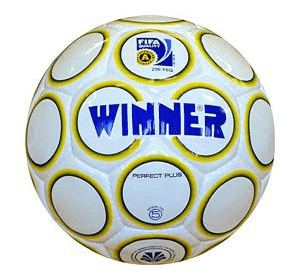 Мяч футбольний Winner Perfect Plus