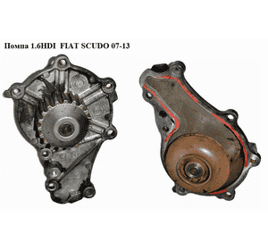 Помпа 1.6HDI  FIAT SCUDO 07-13 (ФИАТ СКУДО) (1201G9, 1609417680, 11517805992, 1201.G9, 1201G1, 1364681) Помпа 1.6HDI  FIAT SCUDO 07-13 (ФИАТ СКУДО) (1201G9, 1609417680, 11517805992, 1201.G9, 1201G1, 1364681)