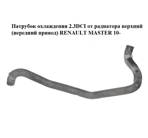 Патрубок охлаждения 2.3DCI от радиатора верхний (передний привод) RENAULT MASTER 10-(РЕНО МАСТЕР) (215010029R) Патрубок охлаждения 2.3DCI от радиатора верхний (передний привод) RENAULT MASTER 10-(РЕНО МАСТЕР) (215010029R)