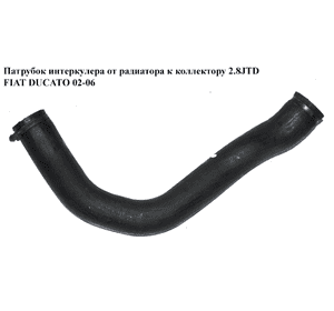 Патрубок интеркулера от радиатора к коллектору 2.8JTD большой FIAT DUCATO 02-06 (ФИАТ ДУКАТО) (1337346080)