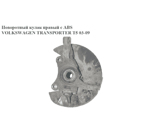 Поворотный кулак правый с ABS   VOLKSWAGEN TRANSPORTER T5 03-09 (ФОЛЬКСВАГЕН  ТРАНСПОРТЕР Т5) (7H8407258C) Поворотный кулак правый с ABS   VOLKSWAGEN TRANSPORTER T5 03-09 (ФОЛЬКСВАГЕН  ТРАНСПОРТЕР Т5) (7H8407258C)