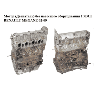 Мотор (Двигатель) без навесного оборудования 1.9DCI  RENAULT MEGANE 02-09 (РЕНО МЕГАН) (F9Q818)