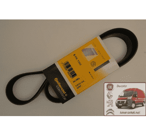 Ремень ручейковый 6 PK 1165 Fiat Scudo CONTITECH 6 PK 1165 Ремень ручейковый 6 PK 1165 Fiat Scudo CONTITECH 6 PK 1165