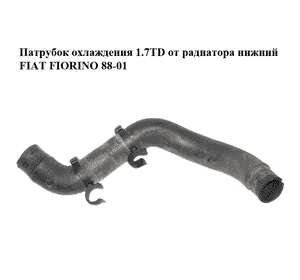 Патрубок охлаждения 1.7TD от радиатора нижний FIAT FIORINO 88-01 (ФИАТ ФИОРИНО) (50010244) Патрубок охлаждения 1.7TD от радиатора нижний FIAT FIORINO 88-01 (ФИАТ ФИОРИНО) (50010244)