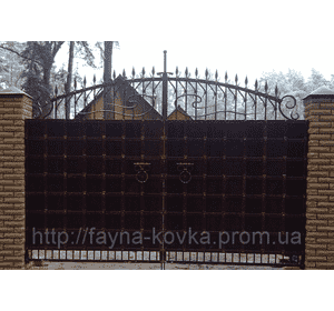 Ковані ворота 1900
