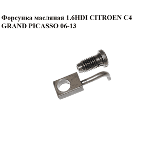 Форсунка масляная 1.6HDI  CITROEN C4 GRAND PICASSO 06-13 (СИТРОЕН С4 ГРАНД ПИКАССО) (016220) Форсунка масляная 1.6HDI  CITROEN C4 GRAND PICASSO 06-13 (СИТРОЕН С4 ГРАНД ПИКАССО) (016220)