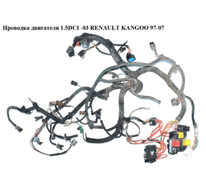 Проводка двигателя 1.5DCI -03 RENAULT KANGOO 97-07 (РЕНО КАНГО) (8200365300) Проводка двигателя 1.5DCI -03 RENAULT KANGOO 97-07 (РЕНО КАНГО) (8200365300)