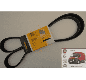 Ремень ручейковый 6 PK 1750 Ситроен Джампи / Citroen Jumpy II CONTITECH 6 PK 1750 Ремень ручейковый 6 PK 1750 Ситроен Джампи / Citroen Jumpy II CONTITECH 6 PK 1750