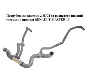Патрубок охлаждения 2.3DCI от радиатора нижний (передний привод) RENAULT MASTER 10-(РЕНО МАСТЕР) (215039970R) Патрубок охлаждения 2.3DCI от радиатора нижний (передний привод) RENAULT MASTER 10-(РЕНО МАСТЕР) (215039970R)