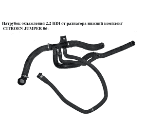 Патрубок охлаждения 2.2HDI от радиатора нижний комплект CITROEN JUMPER 06- (СИТРОЕН ДЖАМПЕР) Патрубок охлаждения 2.2HDI от радиатора нижний комплект CITROEN JUMPER 06- (СИТРОЕН ДЖАМПЕР)