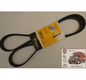 Ремень ручейковый Ситроен Джампи / Citroen Jumpy II  CONTITECH 6 PK 1705 Ремень ручейковый Ситроен Джампи / Citroen Jumpy II  CONTITECH 6 PK 1705