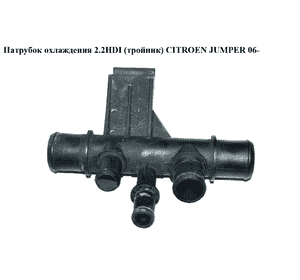 Патрубок охлаждения 2.2HDI (тройник) CITROEN JUMPER 06- (СИТРОЕН ДЖАМПЕР) Патрубок охлаждения 2.2HDI (тройник) CITROEN JUMPER 06- (СИТРОЕН ДЖАМПЕР)