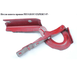 Петля капота правая   PEUGEOT EXPERT 07- (ПЕЖО ЕКСПЕРТ) (791296) Петля капота правая   PEUGEOT EXPERT 07- (ПЕЖО ЕКСПЕРТ) (791296)