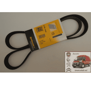 Ремень ручейковый 6 PK 1440 Ситроен Джампи / Citroen Jumpy  CONTITECH 6 PK 1440 Ремень ручейковый 6 PK 1440 Ситроен Джампи / Citroen Jumpy  CONTITECH 6 PK 1440