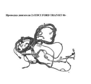 Проводка двигателя 2.4TDCI  FORD TRANSIT 06- (ФОРД ТРАНЗИТ) (6C1T-12B637-AD, 6C1T12B637AD) Проводка двигателя 2.4TDCI  FORD TRANSIT 06- (ФОРД ТРАНЗИТ) (6C1T-12B637-AD, 6C1T12B637AD)