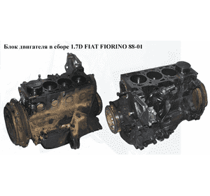 Блок двигателя в сборе 1.7D без поддона и маслонасоса FIAT FIORINO 88-01 (ФИАТ ФИОРИНО) Блок двигателя в сборе 1.7D без поддона и маслонасоса FIAT FIORINO 88-01 (ФИАТ ФИОРИНО)