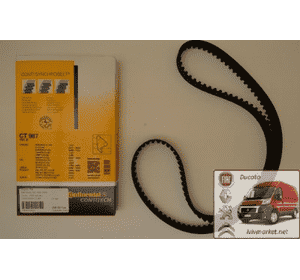 Ремень ГРМ Фиат Скудо / Fiat Scudo 220 (2004-2006) CONTITECH CT 987,0816 A9, 141 HTDP 25, FE17765, 9463380680, 9400816969 Ремень ГРМ Фиат Скудо / Fiat Scudo 220 (2004-2006) CONTITECH CT 987,0816 A9, 141 HTDP 25, FE17765, 9463380680, 9400816969