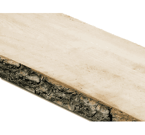 Дошка необрізна сосна Дошка необрізна сосна