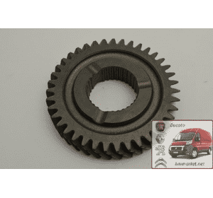 Шестерня 3-й передачи 39х27 вторичный вал Фиат Добло / Fiat Doblo (2005-2009) 7763009 Шестерня 3-й передачи 39х27 вторичный вал Фиат Добло / Fiat Doblo (2005-2009) 7763009