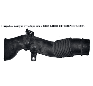 Патрубок воздуха от заборника к КВФ 1.4HDI 1.4i CITROEN NEMO 08- (СИТРОЕН НЕМО) (51785908) Патрубок воздуха от заборника к КВФ 1.4HDI 1.4i CITROEN NEMO 08- (СИТРОЕН НЕМО) (51785908)