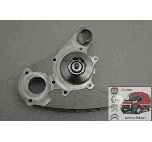 Водяная помпа Fiat Ducato 244 (2002-2006) 504033770,PA900, P1034, 65829, 506864,D1F075TT,FT57135