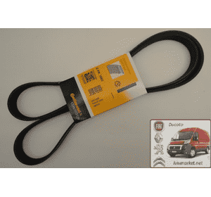 Ремень ручейковый 6 PK 1680 Citroen Jumpy CONTITECH 6 PK 1680 Ремень ручейковый 6 PK 1680 Citroen Jumpy CONTITECH 6 PK 1680