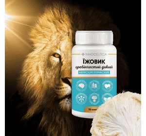 Їжовик гребінчастий, капсули № 70 по 303 мг Їжовик гребінчастий, капсули № 70 по 303 мг