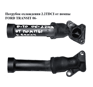 Патрубок охлаждения 2.2TDCI от помпы FORD TRANSIT 06- (ФОРД ТРАНЗИТ) (6C1Q-8B535-AF, 6C1Q8B535AF) Патрубок охлаждения 2.2TDCI от помпы FORD TRANSIT 06- (ФОРД ТРАНЗИТ) (6C1Q-8B535-AF, 6C1Q8B535AF)