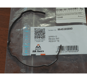 Пружинка синхронизатора КПП 1-2-3 передача Fiat Ducato 244 (2002-2006) 9645385880,232519,MASIERO 12846 Пружинка синхронизатора КПП 1-2-3 передача Fiat Ducato 244 (2002-2006) 9645385880,232519,MASIERO 12846