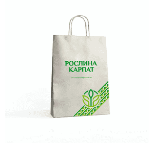 Пакет подарунковий (крафт) Пакет подарунковий (крафт)