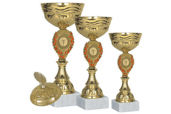 Спортивні нагороди - LvivMarket.net
