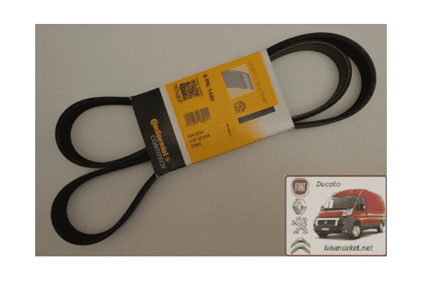 Ремень ручейковый 6 PK 1440 Fiat Scudo CONTITECH 6 PK 1440 - ЛьвівМаркет Ремень ручейковый 6 PK 1440 Fiat Scudo CONTITECH 6 PK 1440 - LvivMarket.net