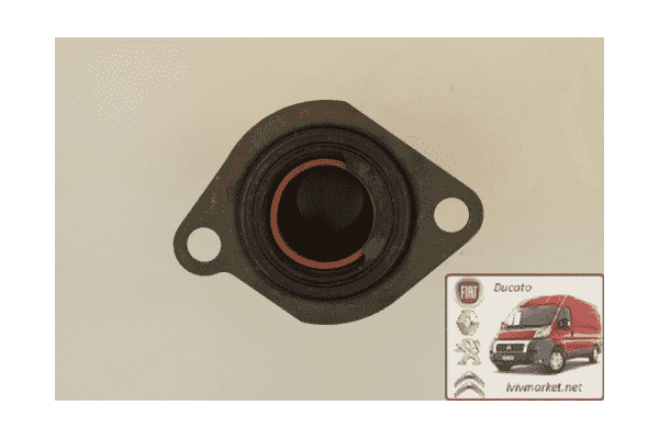 Сальник первичного вала 26x43/60x84.20 Citroen Jumper 210532, RWS P1661 - ЛьвівМаркет Сальник первичного вала 26x43/60x84.20 Citroen Jumper 210532, RWS P1661 - LvivMarket.net