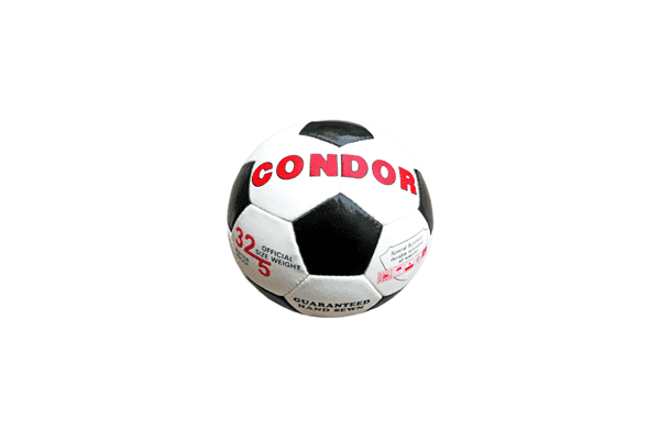 Мяч футбольний Winner Condor - LvivMarket.net