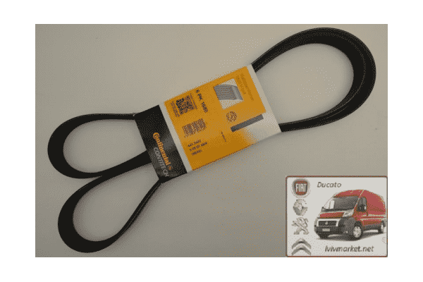 Ремень ручейковый 6 PK 1680Peugeot Partner M59 CONTITECH 6 PK 1680 - ЛьвівМаркет Ремень ручейковый 6 PK 1680Peugeot Partner M59 CONTITECH 6 PK 1680 - LvivMarket.net